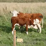 فندق Ekbladh *