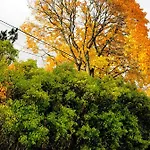 Ekbladh فندق *