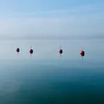 Ekbladh