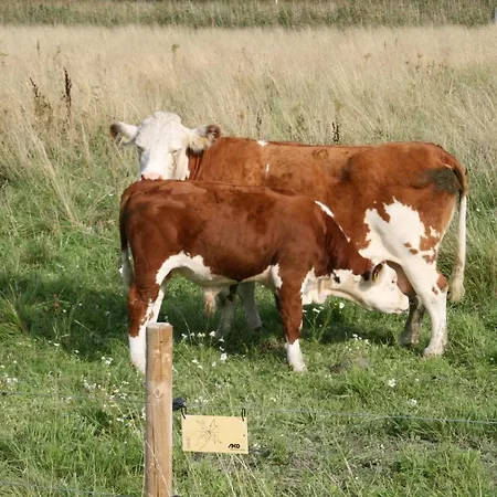 Отель Ekbladh *