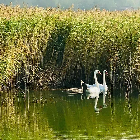 Отель Ekbladh Vastanfjard